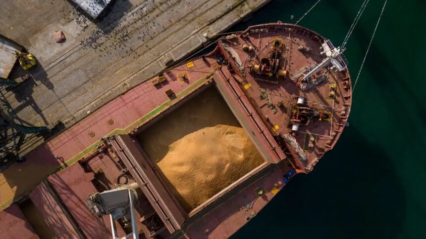 Brasil e China negociam novas regras fitossanitárias para a exportação de soja
