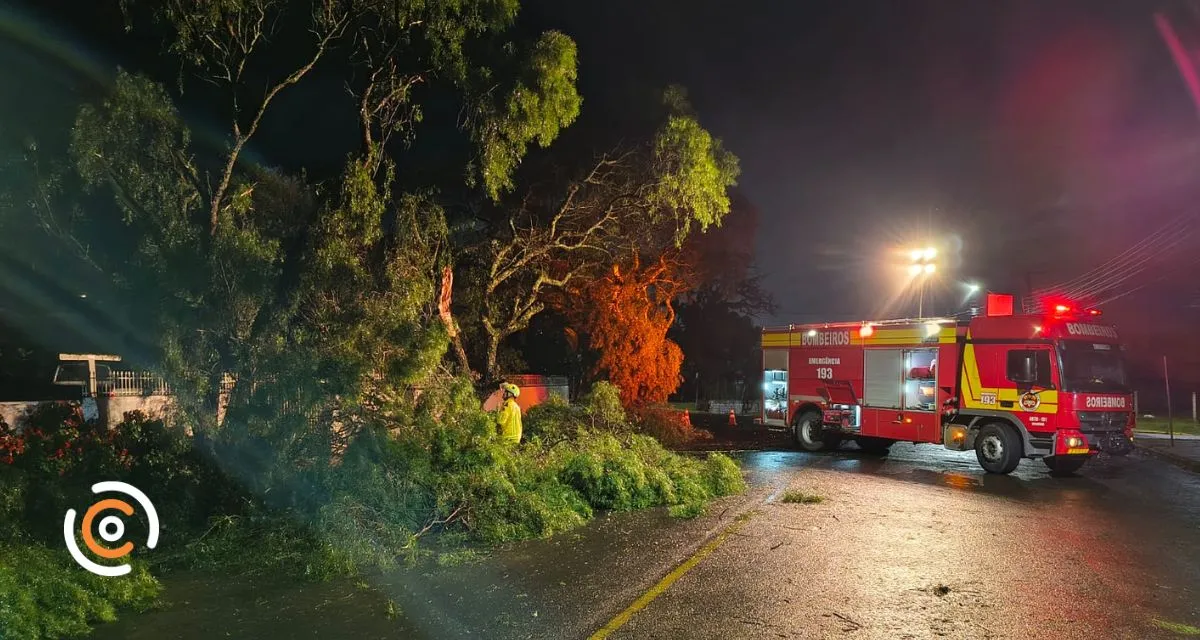 Forte temporal causa estragos em Papanduva