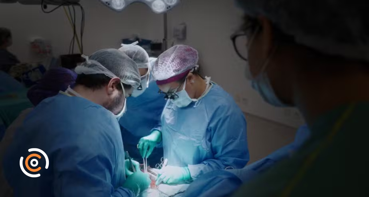 'Doe órgãos, doe esperança': Setembro Verde conscientiza sobre a doação que salva vidas