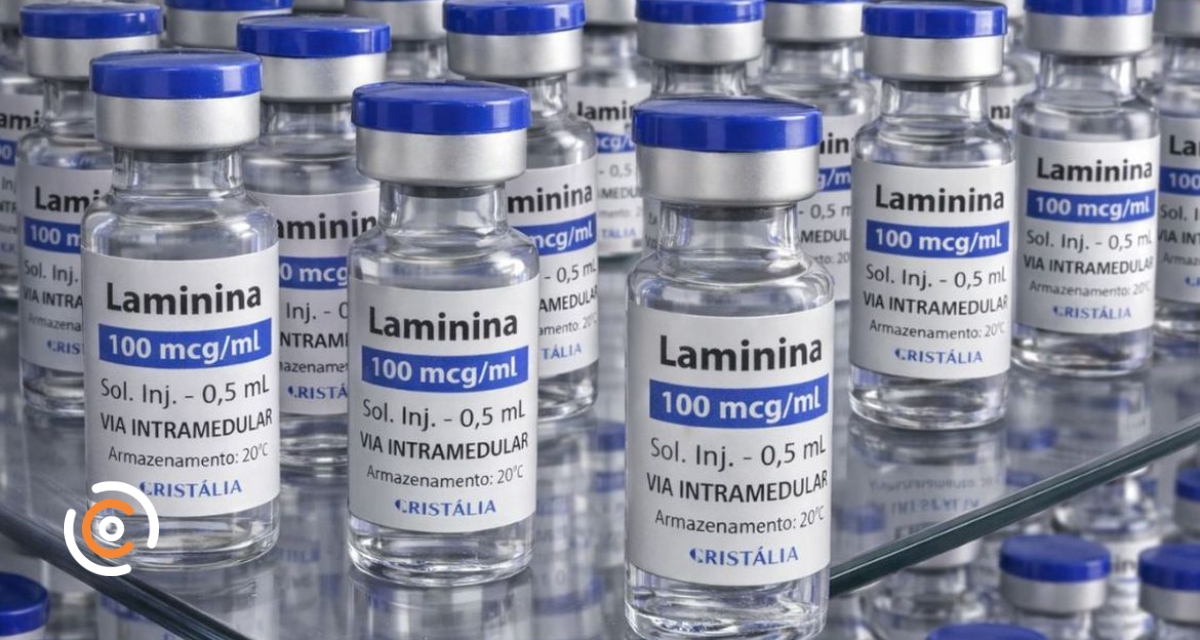 Polilaminina: testes em humanos para tratamento de lesão medular começam no dia 24