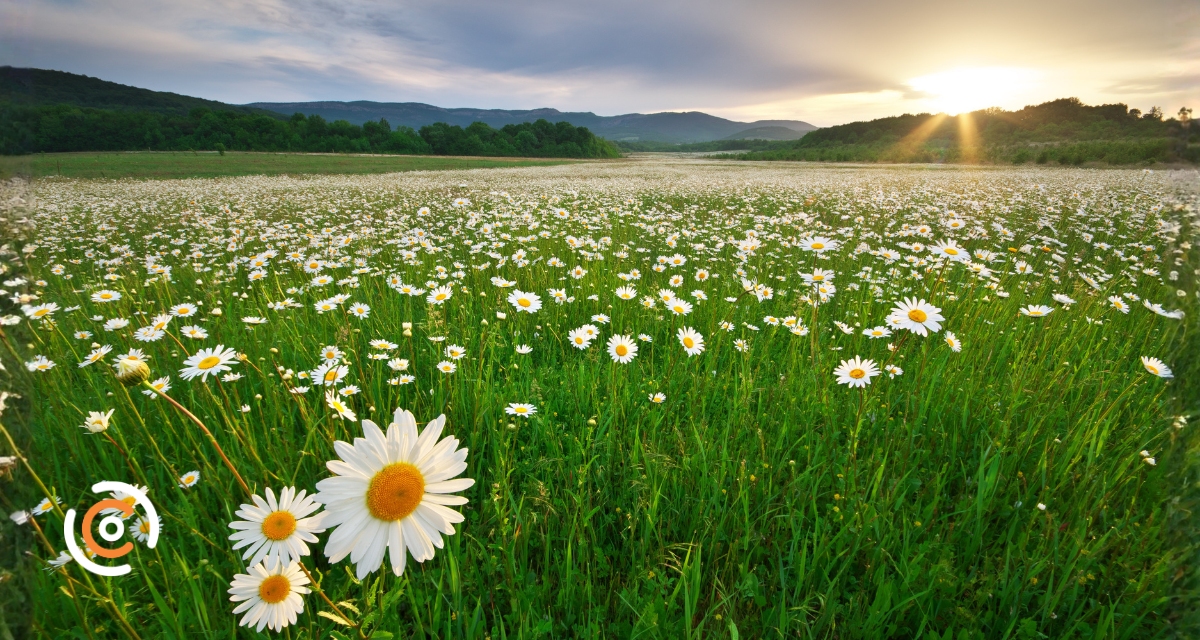Tempo fica estável, com sol e temperaturas amenas; confira a previsão completa