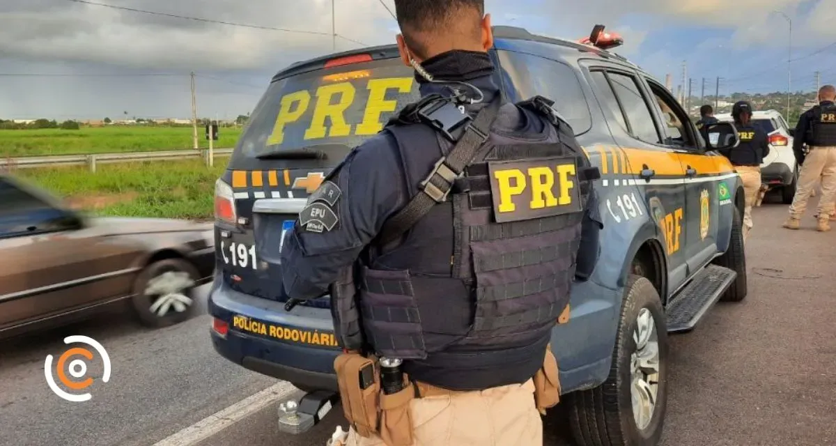 PRF apreende ecstasy e outras drogas em ônibus na BR-116 em Papanduva