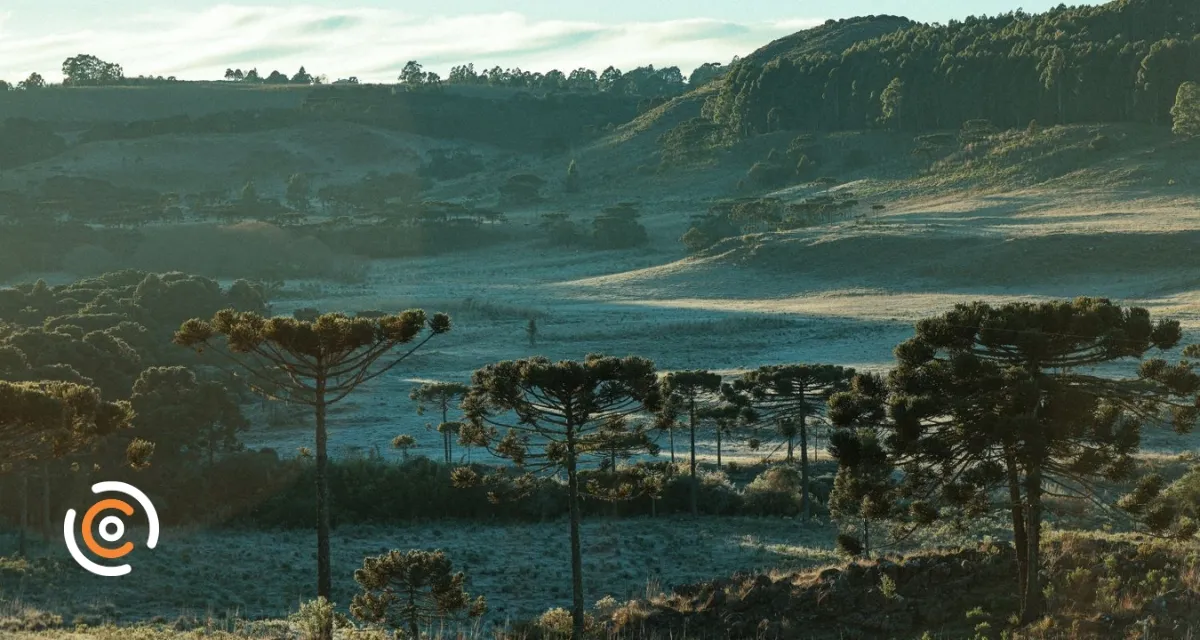 Frio intenso avança por Santa Catarina e temperaturas podem se aproximar de 0°C
