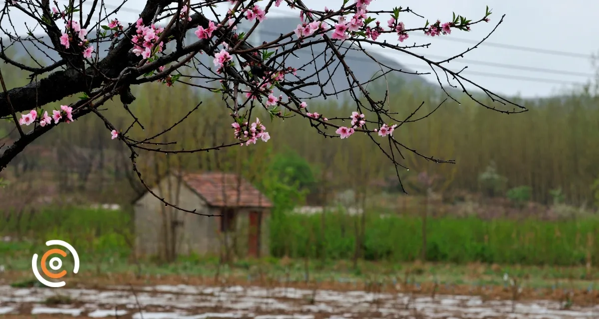Primavera começa com temperaturas baixas e tempo instável; veja como fica o tempo nos próximos dias